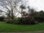 The E. G. Waterhouse National Camellia Gardens High Tea Lunch Image -648ce23b4f2e8